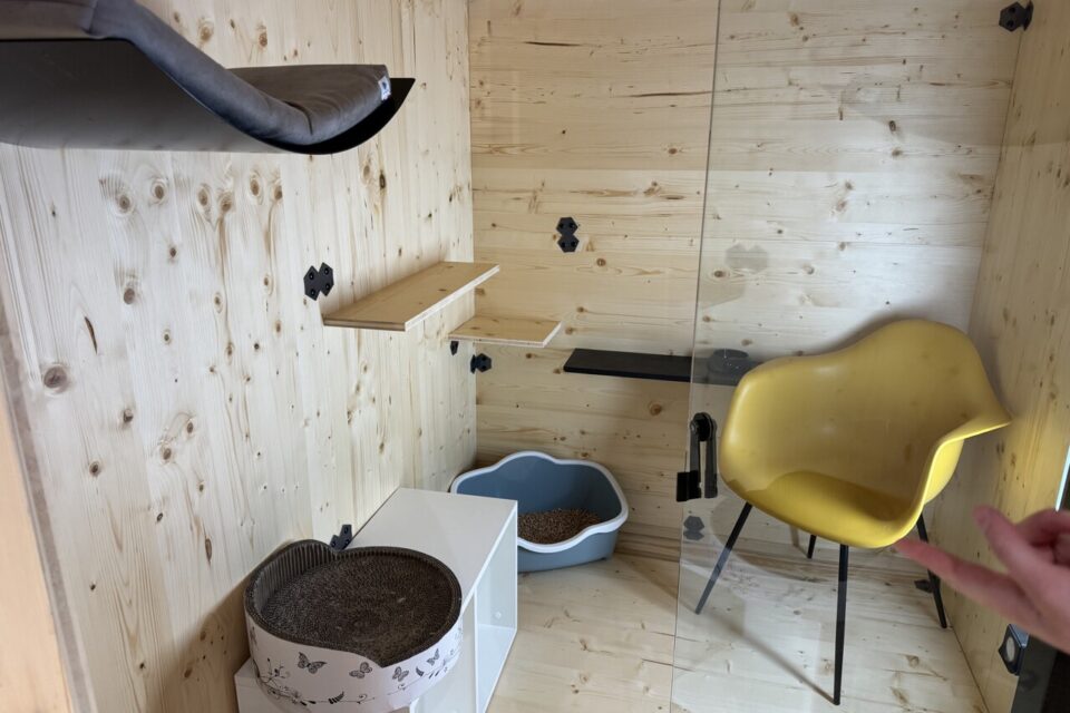 Ici, une chambre pour un chat. Certaines chambres de l'hôtel peuvent contenir jusqu'à trois félins de la même famille