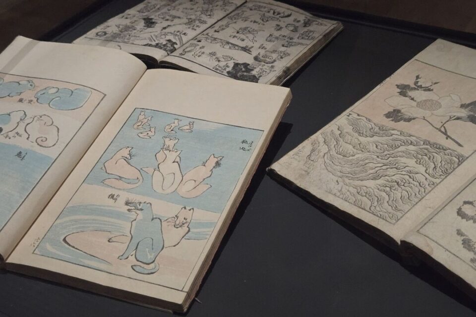 Sur 70 ans, Hokusai a créé plus de 3000 gravures et 2000 livres imprimés.