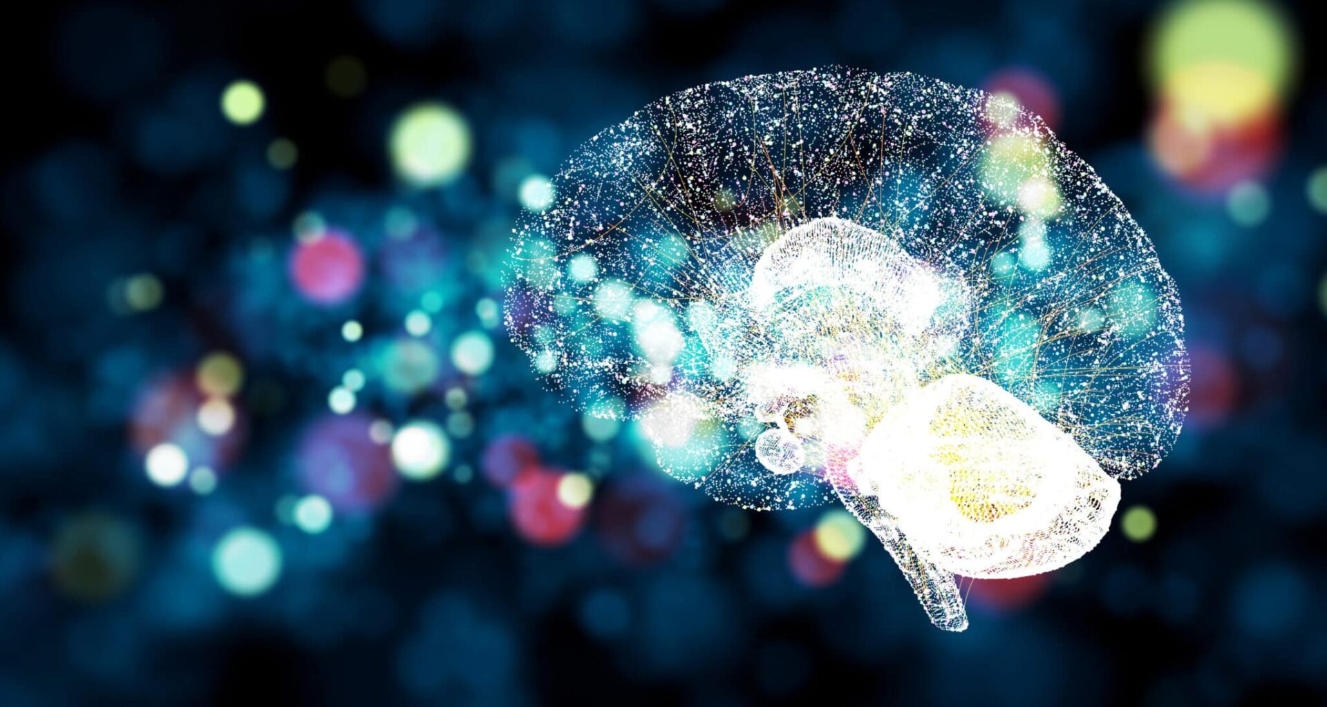 cerveau lumière