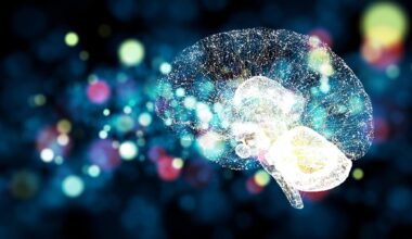 cerveau lumière