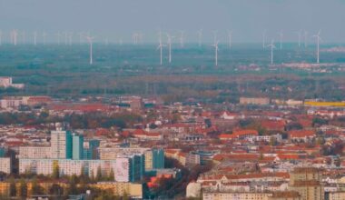 Allemagne : le Sénat de Berlin veut déboiser des forêts pour installer des éoliennes