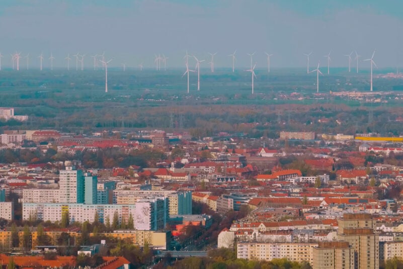 Allemagne : le Sénat de Berlin veut déboiser des forêts pour installer des éoliennes
