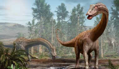 dinosaures sauropodes