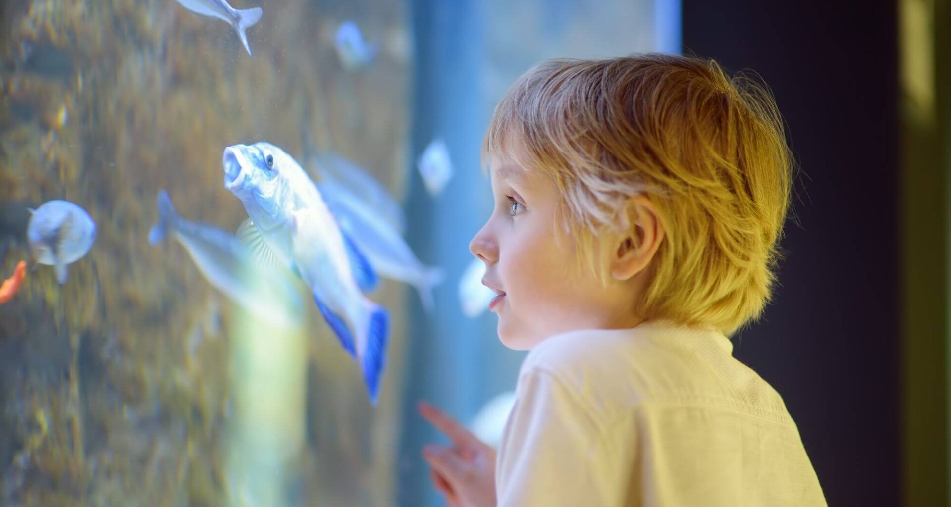 Sciences-sur-Mer: 3 bonnes raisons de venir découvrir ce festival unique à Villefranche-sur-Mer