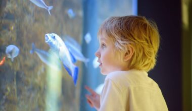 Sciences-sur-Mer: 3 bonnes raisons de venir découvrir ce festival unique à Villefranche-sur-Mer