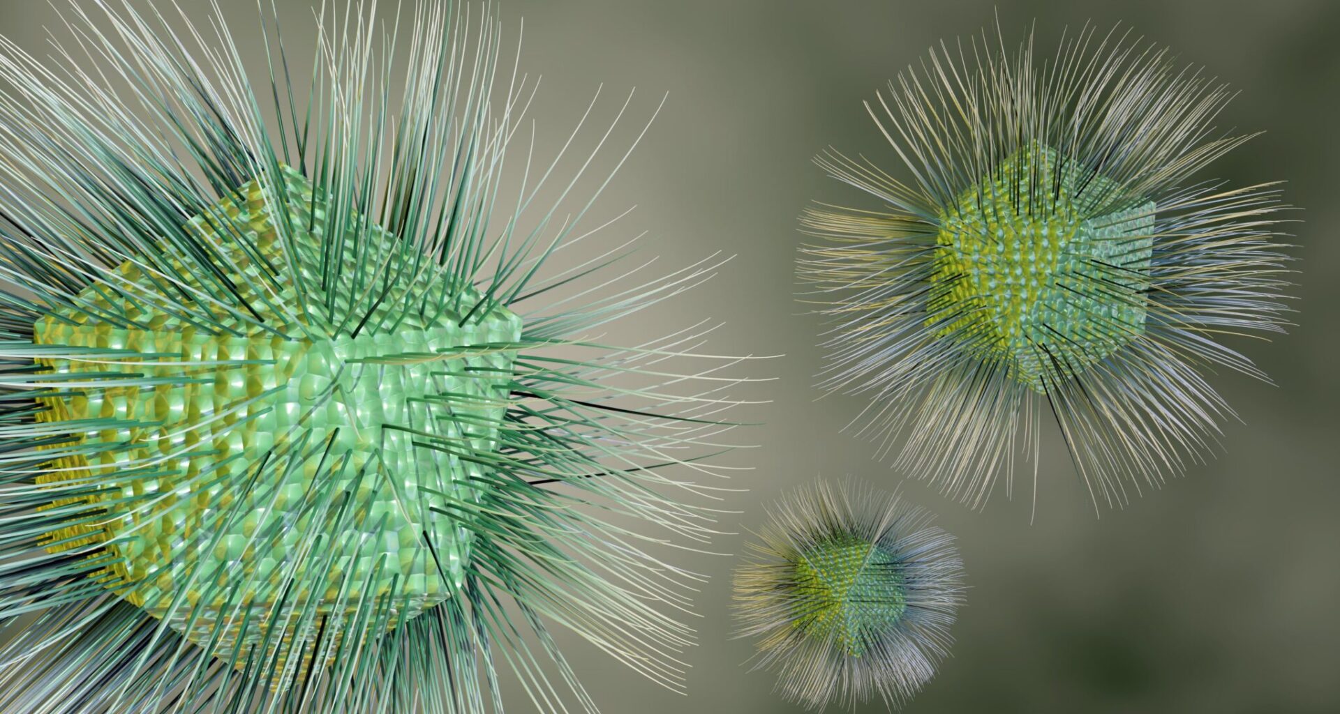 virus Groenland