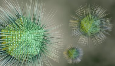virus Groenland
