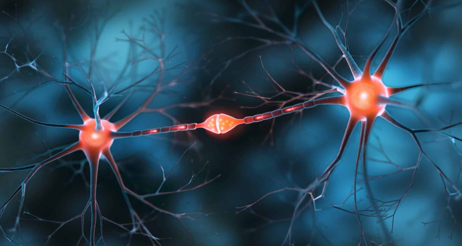 neurones