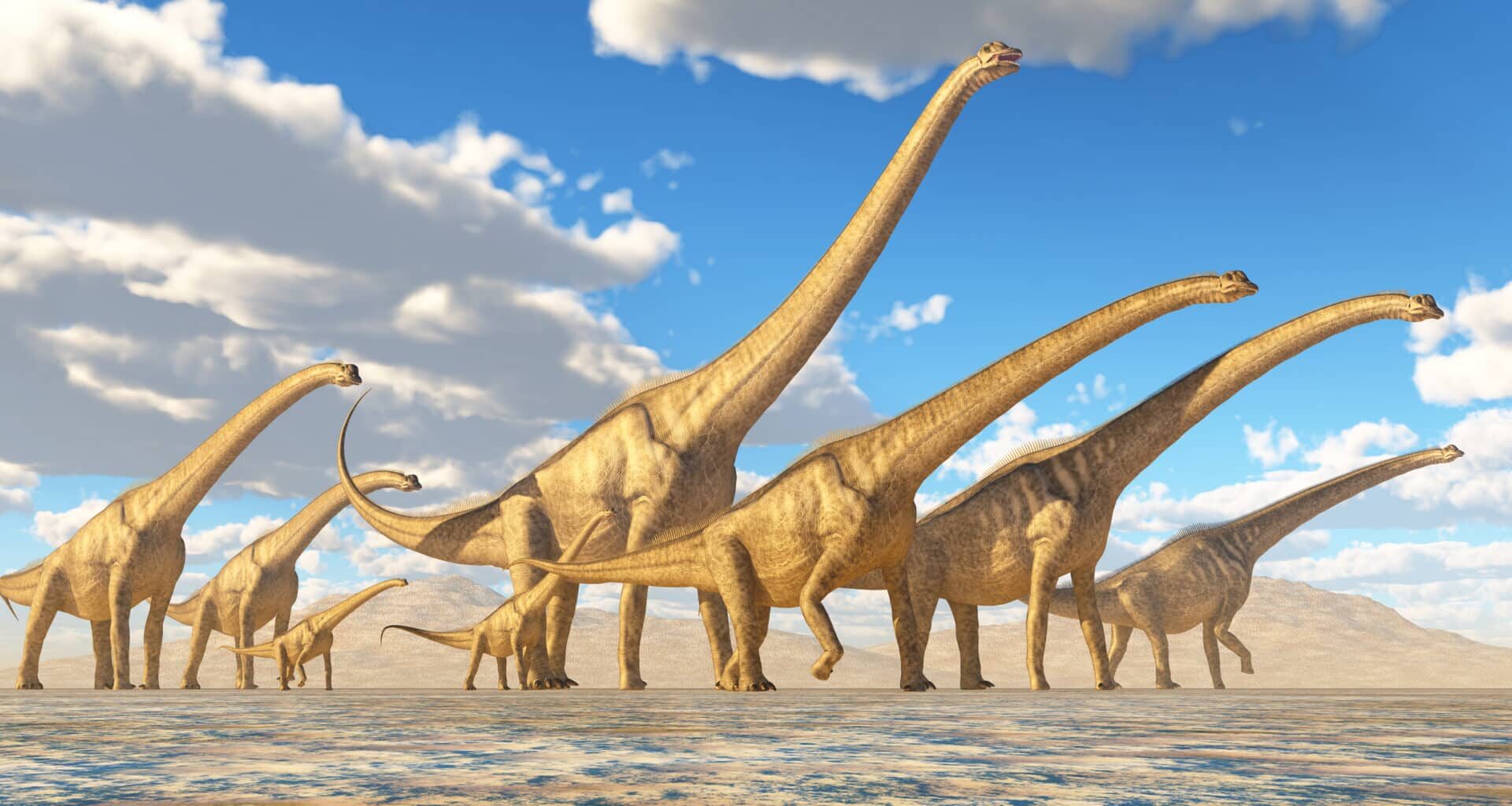 dinosaure
