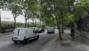 une femme gravement blessée après la chute d'une branche d'arbre frappé par la foudre