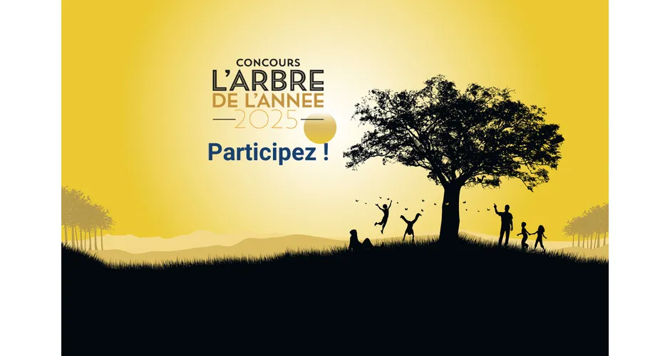 Île-de-France : votre arbre préféré deviendra peut-être l'Arbre de l'année 2025
