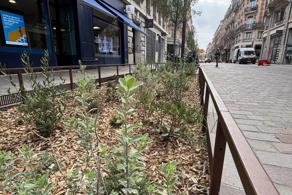 Rue de Metz
