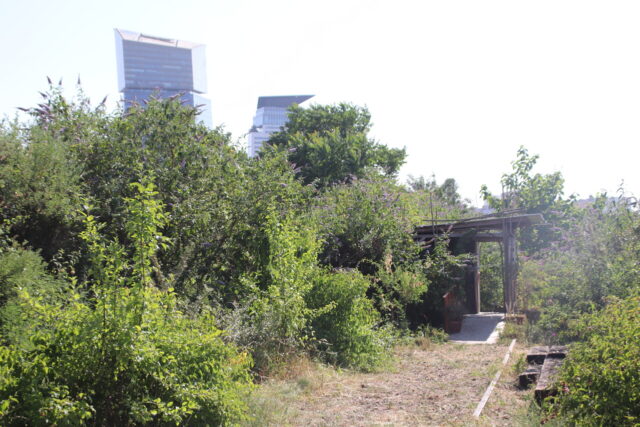 La friche, autrefois nue, a été végétalisée par les acteurs de Bercy Beaucoup. (© ES / actu Paris)