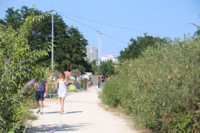 La friche, autrefois nue, a été végétalisée par les acteurs de Bercy Beaucoup. (© ES / actu Paris)