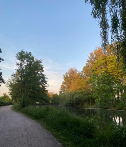 Parc de l’Aar – eau