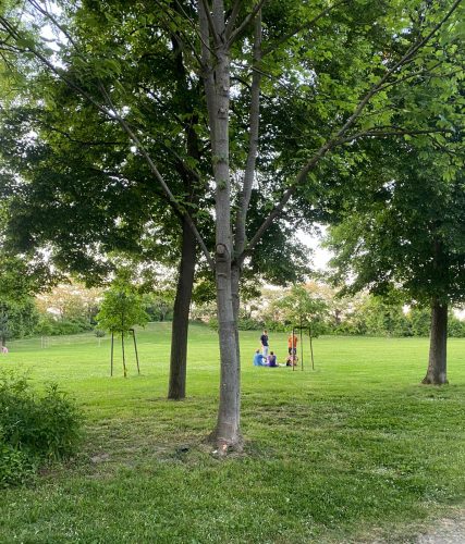 Parc de l’Aar personnes assises dans l’herbe