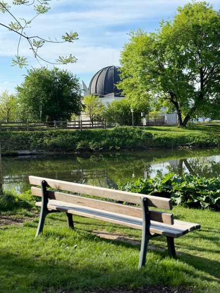 strasbourg été printemps banc
