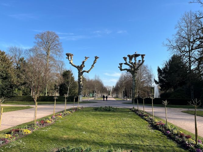 orangerie