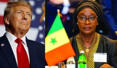 img 8357 - Senenews - Actualité au Sénégal, Politique, Économie, Sport