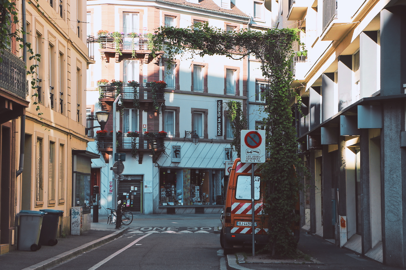 rue