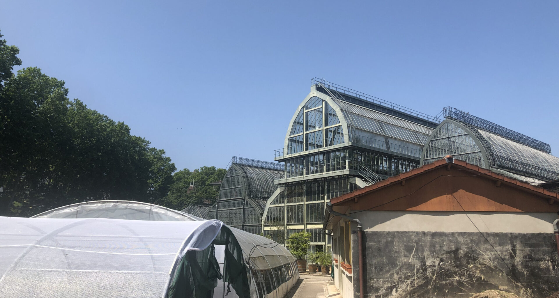 © Noah Guerbert-Jubert - Le chantier de restauration des petites serres du jardin botanique de Tête d’Or à Lyon est lancé.