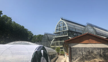 © Noah Guerbert-Jubert - Le chantier de restauration des petites serres du jardin botanique de Tête d’Or à Lyon est lancé.