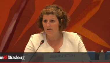 Palestine, opéra, gare... Les points saillants du conseil municipal du lundi 23 juin