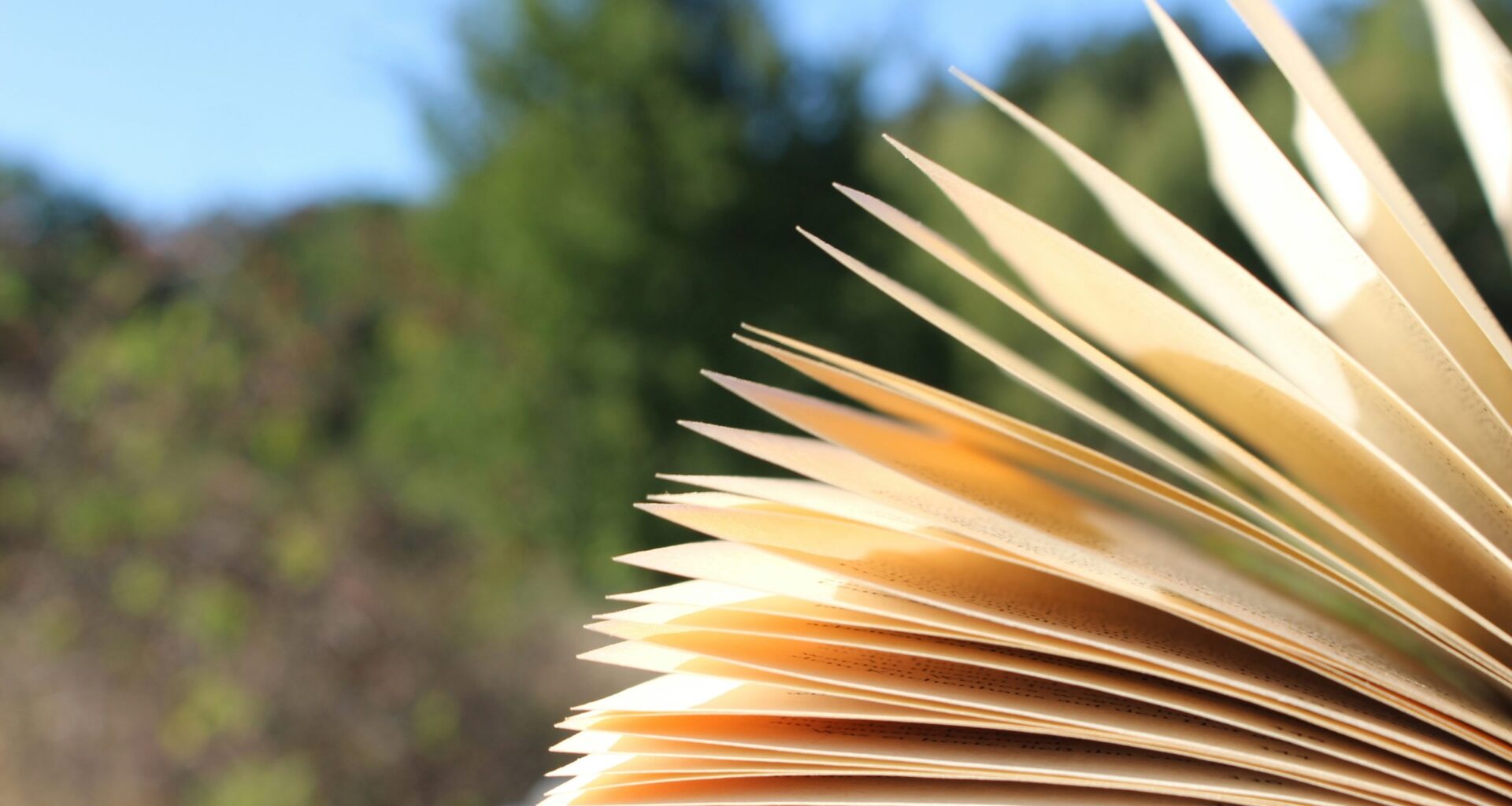 100 % livres : les Coups de cœur de la Librairie Le Neuf à Saint-Dié