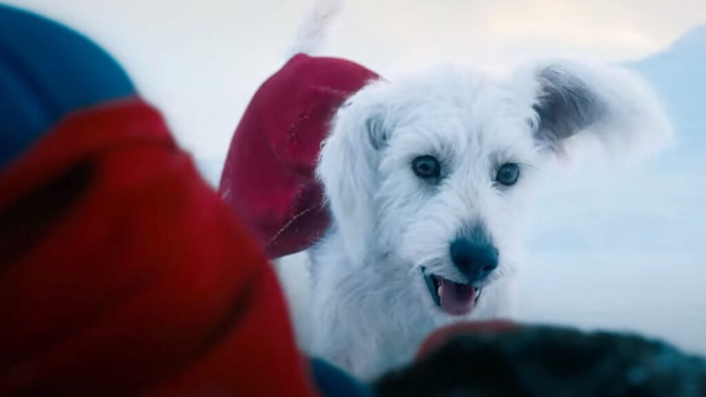 Krypto, le meilleur des chiens // Source : Warner Bros.