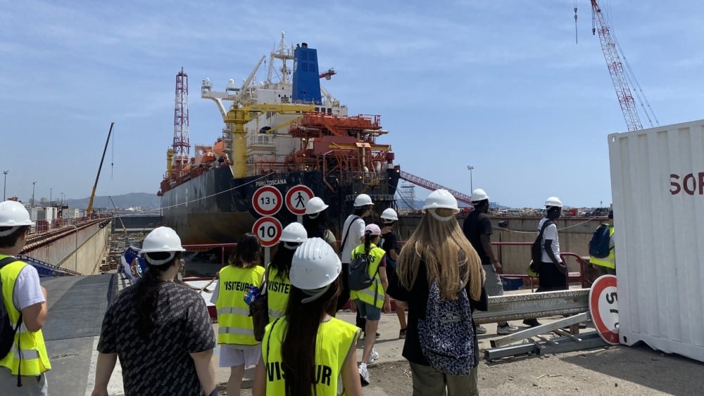 Marseille capitale de la mer, la perle rare des élèves de seconde en recherche de stage
