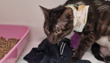 elle lance l'alerte sur les réseaux