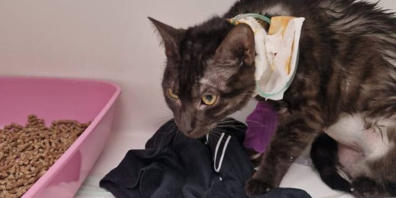 elle lance l'alerte sur les réseaux