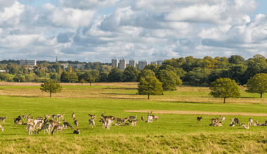 Les meilleurs parcs animaliers autour de Lyon