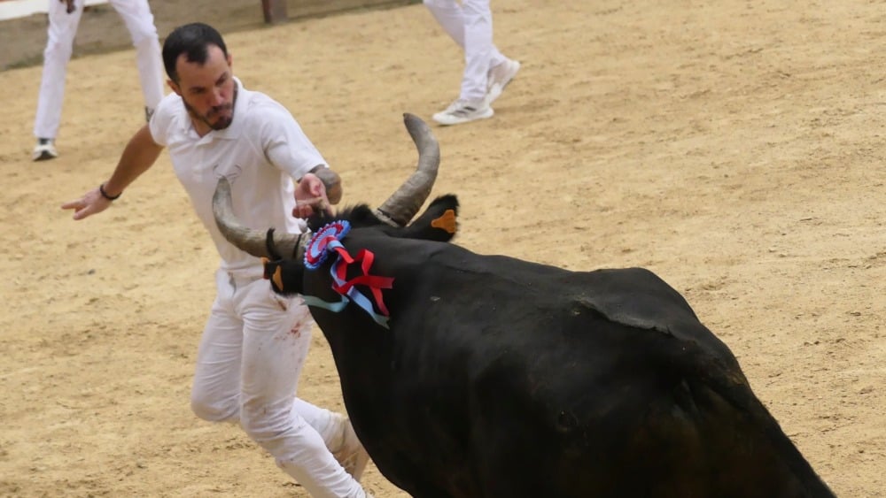 Garofalo et J. Martin pour le 1er Souvenir Guy-Chaptal à Vendargues (AS)