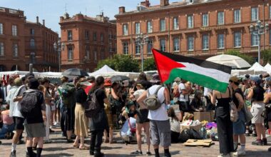 une centaine de manifestants mobilisés à Toulouse