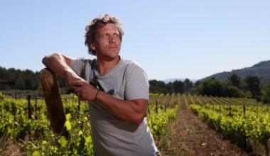 À Marseille, le salon "Vivent les vins libres" va célébrer vingt ans de vigne frondeuse