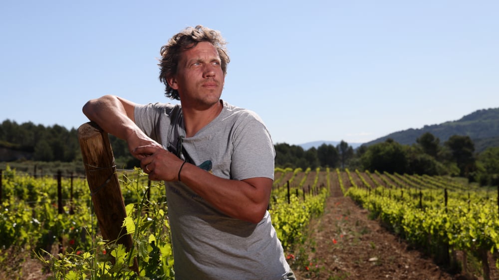 À Marseille, le salon "Vivent les vins libres" va célébrer vingt ans de vigne frondeuse