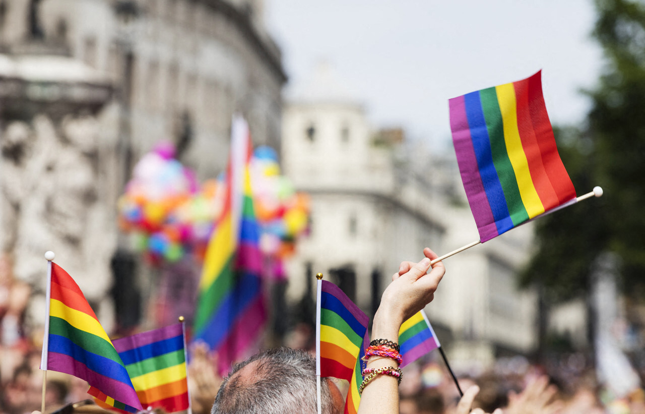 Qu'est-ce que le collectif "homo patriote" Eros, dont la présence à la Pride de Paris suscite l'indignation ?