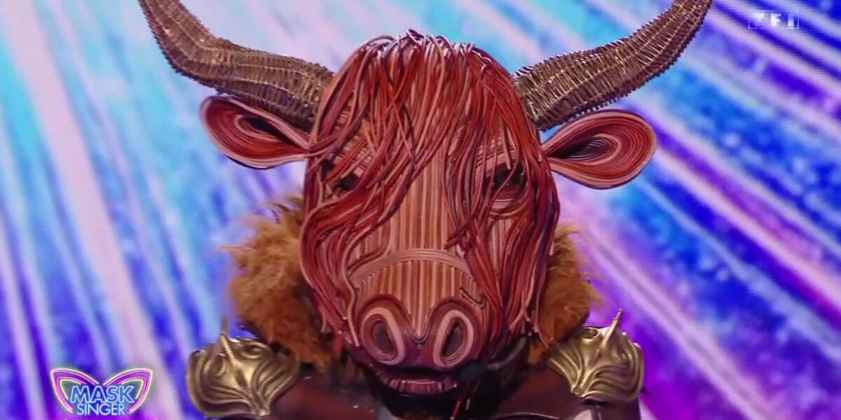 Quelle célébrité se cachait sous le costume du Bison et a été éliminée ce vendredi 13 juin ?