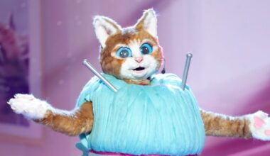 Quelle célébrité se cachait sous le costume du Chaton et a été éliminé ce 27 juin ?