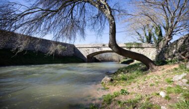 Quelle est la situation des nappes phréatiques dans les Alpes-Maritimes et le Var à quelques jours de l'été?