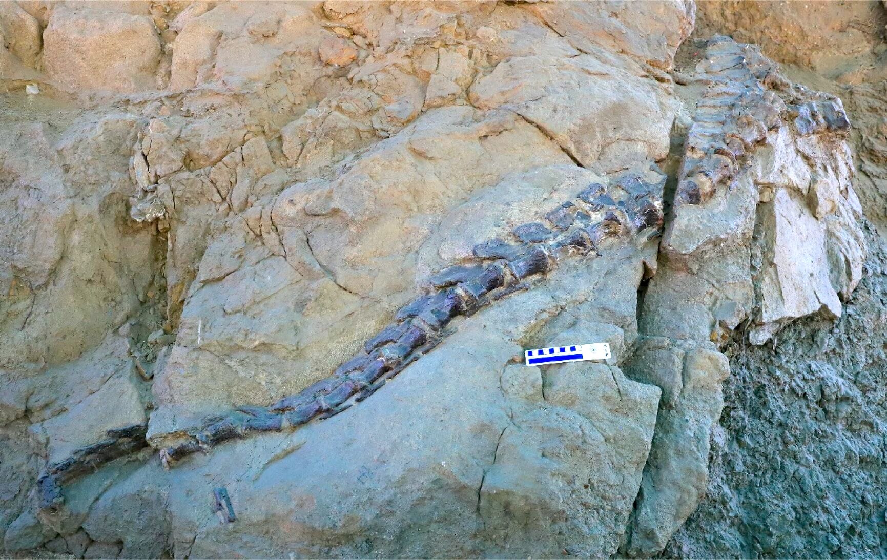 dinosaure