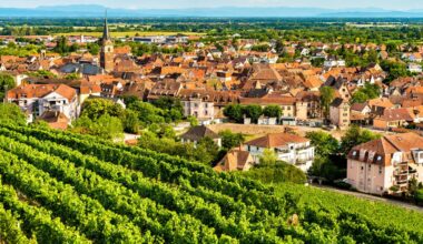 Vue panoramique d'une ville avec des bâtiments aux toits rouges, des vignobles verdoyants au premier plan et des montagnes lointaines sous un ciel bleu.