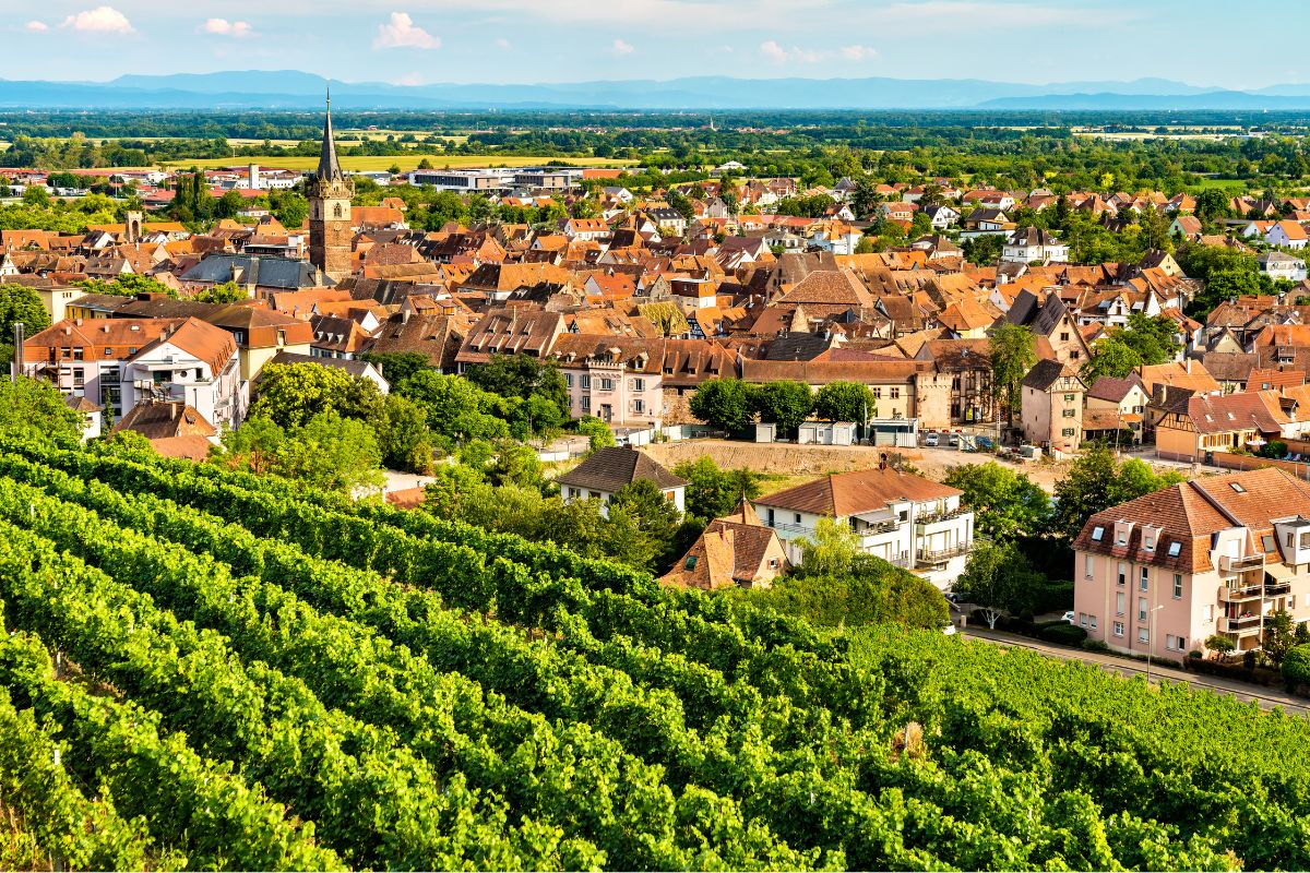 Vue panoramique d'une ville avec des bâtiments aux toits rouges, des vignobles verdoyants au premier plan et des montagnes lointaines sous un ciel bleu.