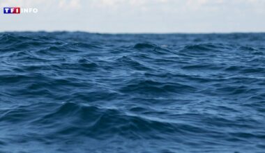 Sommet sur les océans à Nice : ce que dit le nouveau baromètre Starfish, dévoilé pour l'occasion