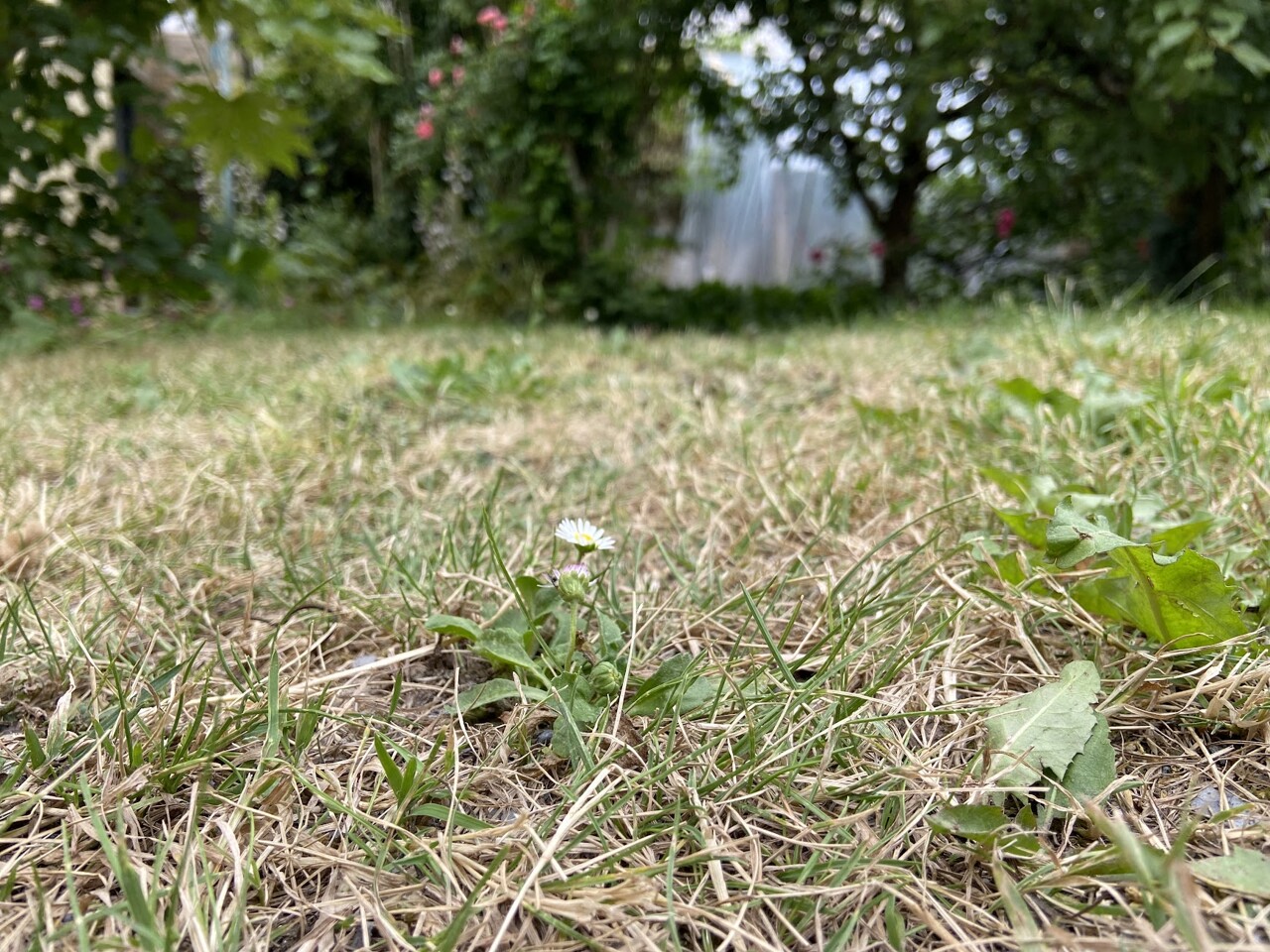 en Bretagne, l'eau manque et la sécheresse pointe le bout de son nez