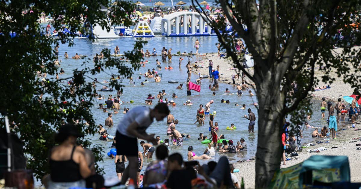 Métropole de Lyon. Un jeune de 25 ans meurt noyé dans le lac du grand parc de Miribel-Jonage
