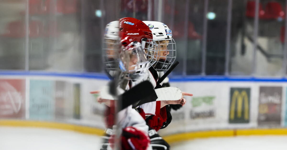Hockey sur glace. La France et Roland Garros « responsables du grand nombre de vies perdues en Ukraine » pour la légende Dominik Hasek