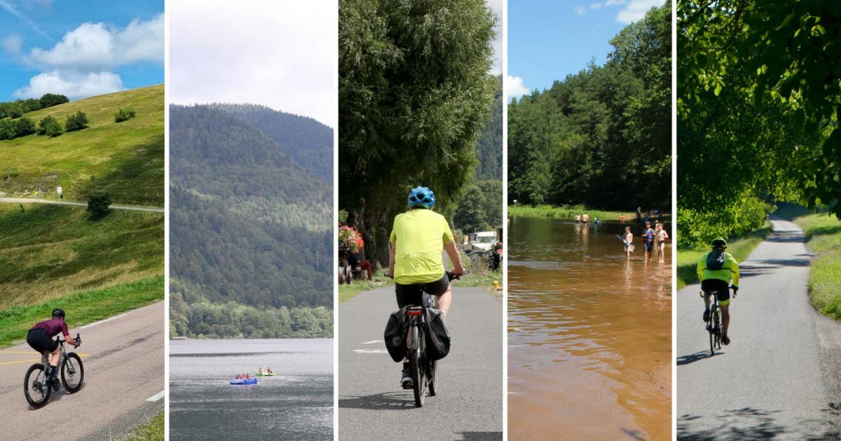 Alsace. Trop chaud pour le vélo ? Cinq idées pour pédaler au frais ce week-end