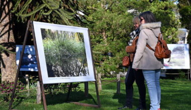 Exposition L’eau, source de vies au jardin botanique